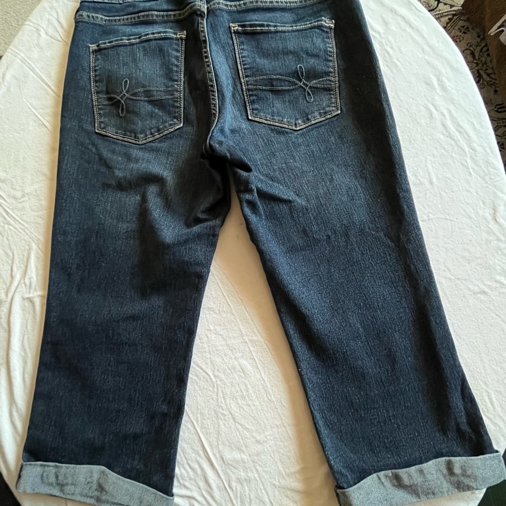 Capris/ size 4 / Denizen/ blue color in the first picture is not correct - Picture 2 of 6